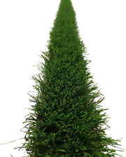 Artificial grass decoration for sale  Chino