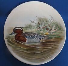 Garganey duck poole for sale  YEOVIL