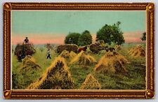 Farming hay harvest for sale  Newton