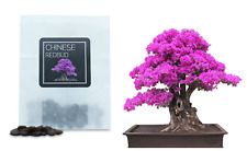 Chinese redbud bonsai for sale  LONDON