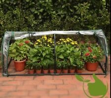 Small greenhouse plant for sale  Bothell