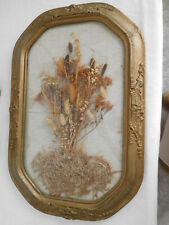 Quadro de vidro convexo antigo GESSO WOOD 23x15" flor seca cattails vintage comprar usado  Enviando para Brazil