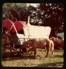 Vintage photograph beautiful for sale  Greeley