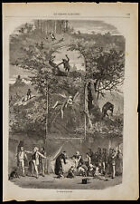 1869 accident chasse d'occasion  France