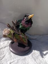 British birds starling for sale  CHICHESTER