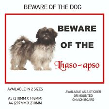 apso dogs for sale  PAISLEY