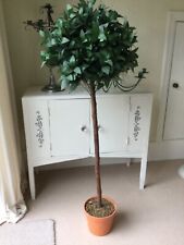 artificial bay trees for sale  WINSFORD