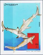 Somalia 2003 squali usato  Trambileno