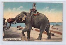 Burma elephant working d'occasion  France
