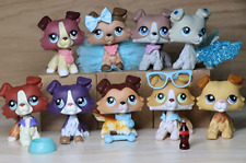 9 PIEZAS Littlest Pet Shop lps Collie Dog Collie Collection + 14 Accesorios Raros segunda mano  Embacar hacia Mexico