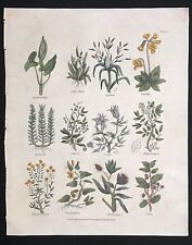 1814 complete herbal for sale  Atlanta