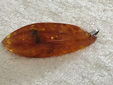 amber insect for sale  MARAZION