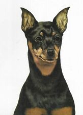 Miniature pinscher custom for sale  Tampa