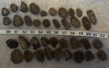 plant fossils for sale  Coal City