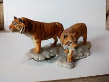 Tigers two tigers for sale  SHREWSBURY