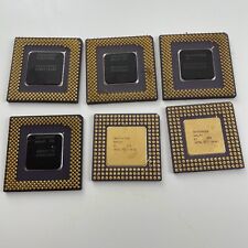 Lote de 6 procesadores Intel Pentium cerámica e i486 DX2 pines doblados utilizados para oro segunda mano  Embacar hacia Argentina