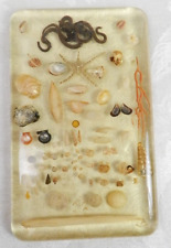 Vtg seashell plaque for sale  Leedey