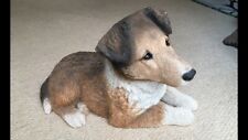 sheltie puppy for sale  CARLISLE