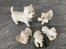white westie for sale  LEIGH-ON-SEA