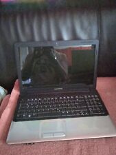 Compaq presario cq61 gebraucht kaufen  Bredstedt