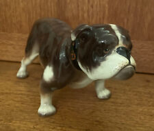 Antique english bulldog for sale  BASINGSTOKE