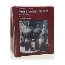 Vini vitigni italia usato  Italia
