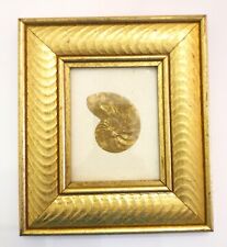 Vtg shells gold for sale  Lancaster
