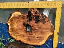 Burl wood slab for sale  Cottage Grove