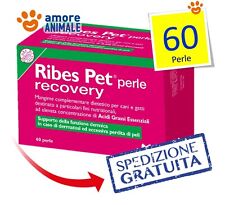 Ribes pet recovery usato  Serra De Conti