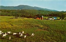 Granja en Stowe Vermont VT vista aérea de granja silo granero pastor vacas postal segunda mano  Embacar hacia Argentina