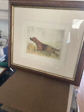 Pointer dog picture for sale  MEXBOROUGH