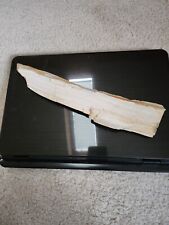 Petrified wood slab for sale  Aston
