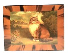 Cat Trinket Jewelry Box Catch All Dorm Gift Glossy Hinged Brown Lining Design for sale  Shipping to South Africa