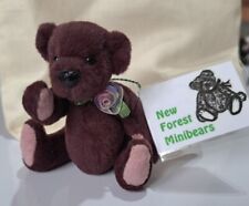 New forest minibears for sale  DULVERTON