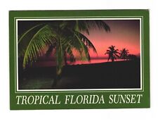 Tropical florida sunset for sale  Sioux Falls