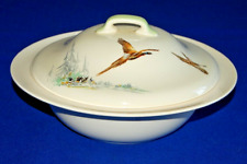 Royal doulton coppice for sale  DISS