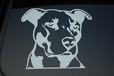 Pitbull vinyl sticker for sale  Costa Mesa