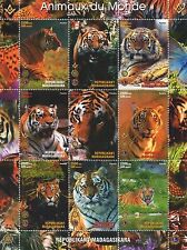 Tiger animals wild for sale  BOURNEMOUTH