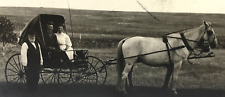 Chapéus de barba RPPC cavalo puxado buggy masculino feminino bigode Norwalk CT 1909 #102 comprar usado  Enviando para Brazil