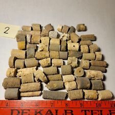 Crinoid stem fossils for sale  Cookeville