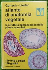 Atlante anatomia vegetale usato  Ledro