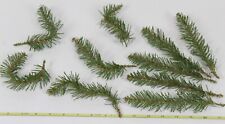 Artificial pine branch for sale  Lake Havasu City