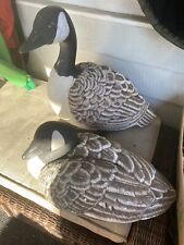 Giant canadian goose for sale  Latrobe