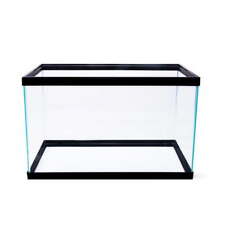 Empty 10g tank for sale  New York
