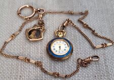 17 jewels taschenuhr gebraucht kaufen  Tapfheim