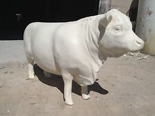 Fiberglass hereford bull for sale  El Paso