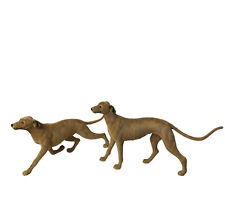 Usado, Lote De 2 Vintage Greyhound Cães Filhotes Flocado Plástico Boneco Hong Kong comprar usado  Enviando para Brazil