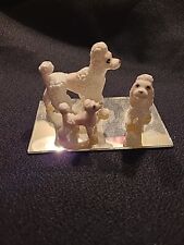 Miniature poodles dog for sale  Phillipsburg