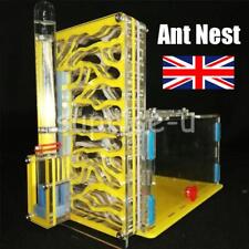Ant house ant for sale  WORCESTER