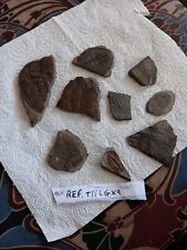 British trilobite fossils for sale  WHITCHURCH